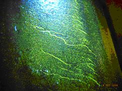 沖壓模具爆裂致人死亡 自磁化熒光磁粉探傷法查隱患